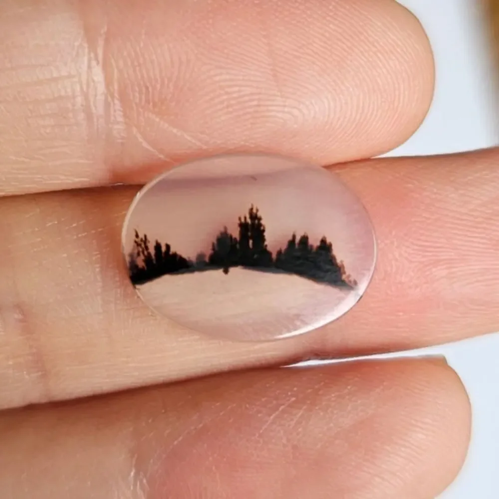 Gem Quality Dendritic Agate Cabochon 3D Tree Line Landscape Stone